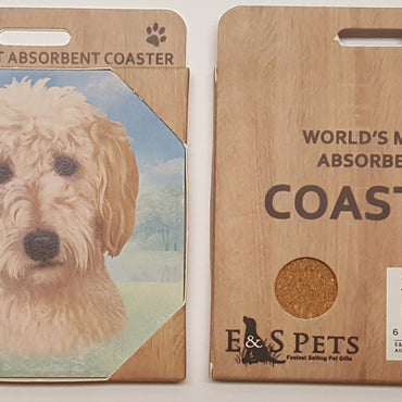 Goldendoodle Coaster Sq.