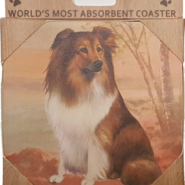 Sheltie Coaster Sq.