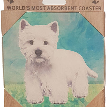 Wesh Highland Coaster Sq.