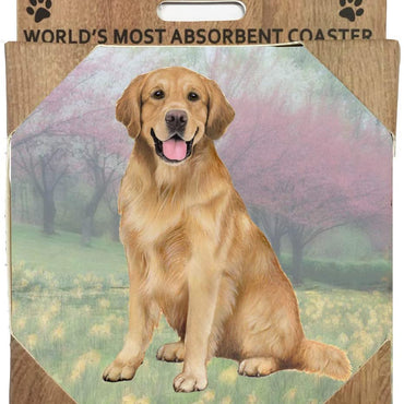 Golden Retriever Coaster Sq.