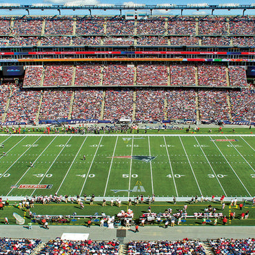 New England Patriots 1000pc Pu