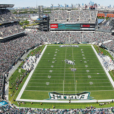 Phila Eagles 1000pc Pano Puzzl