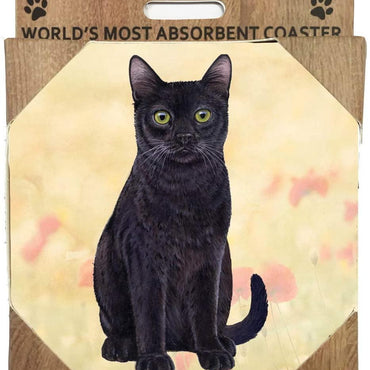 Black Cat Coaster Sq.