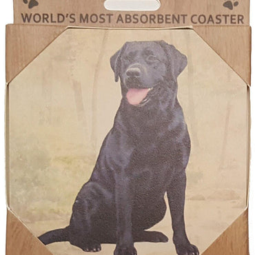 Black Lab Coaster Sq.