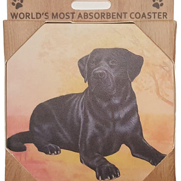 Black Lab Coaster Sq.