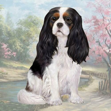 Cavalier Tri-Color Coaster Sq.