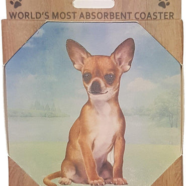 Chihuahua Tan Coaster Sq.