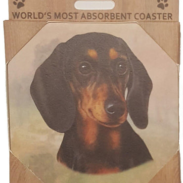 Dachshund Coaster Sq.
