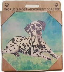 Dalmatian Coaster Sq.