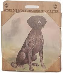 German Shorthair Pointer Coaster Sq.