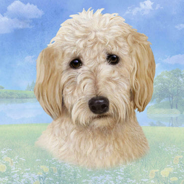 Goldendoodle Coaster Sq.