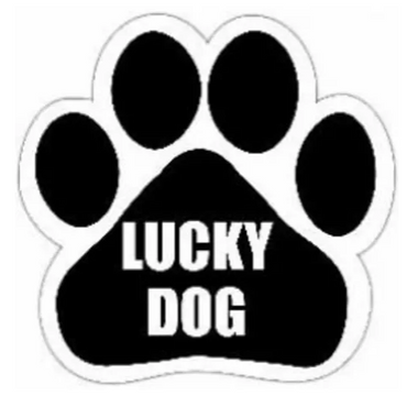 Lucky Dog Magnet