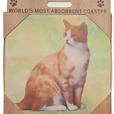 Orange & White Coaster Sq.