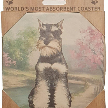 Schnauzer Coaster Sq.