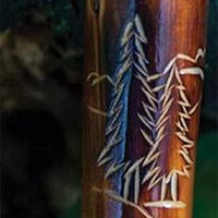 Take A Hike Compass Walking Stick