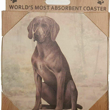 Weimeraner Coaster Sq.