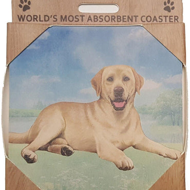 Yellow Lab Coaster Sq.