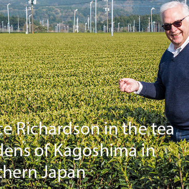 Sencha Green Tea Loose