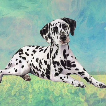 Dalmatian Coaster Sq.