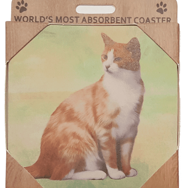 Orange & White Coaster Sq.