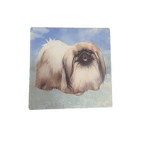 Pekingese Coaster Sq.