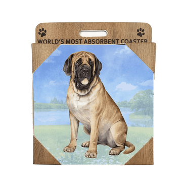 English Mastiff Coaster Sq.
