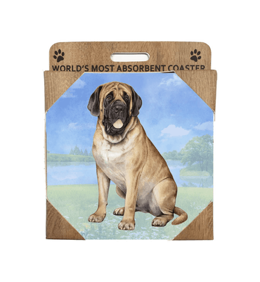 English Mastiff Coaster Sq.