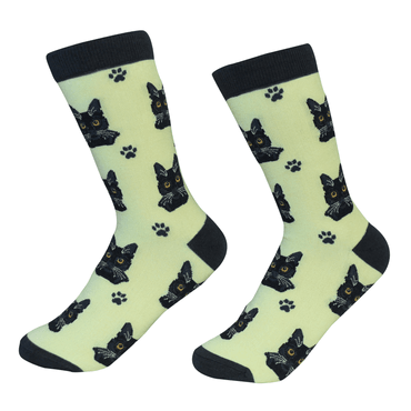 Black Cats Socks