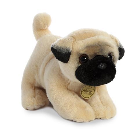 10" Pug Pup