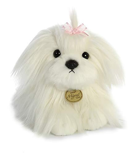 11" Maltese Puppy