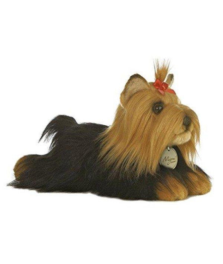 11" Yorkshire Terrier