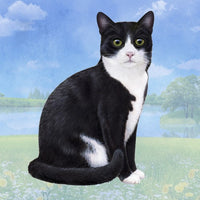 Black & White Coaster Sq.