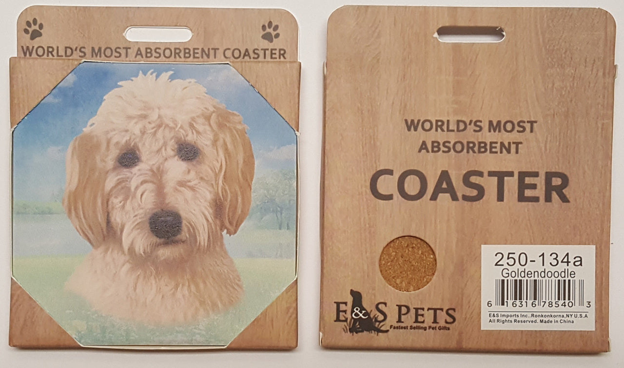 Goldendoodle Coaster Sq.