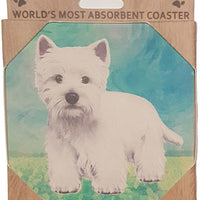 Wesh Highland Coaster Sq.