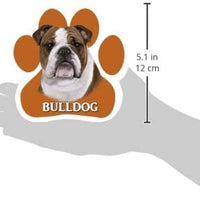 Bulldog Magnet