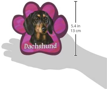 Dachshund Black