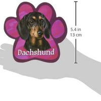Dachshund Black