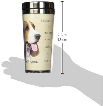 Basset Hound Tmblr , the