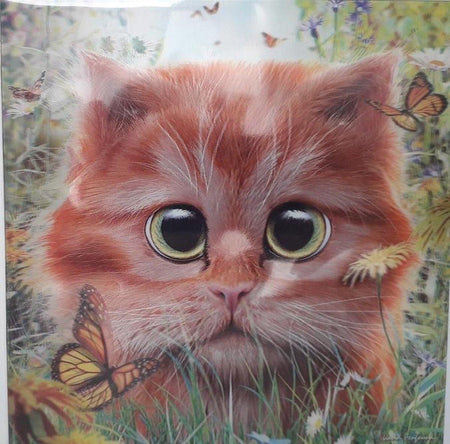 3D Greeting Card- Ginger Kitten