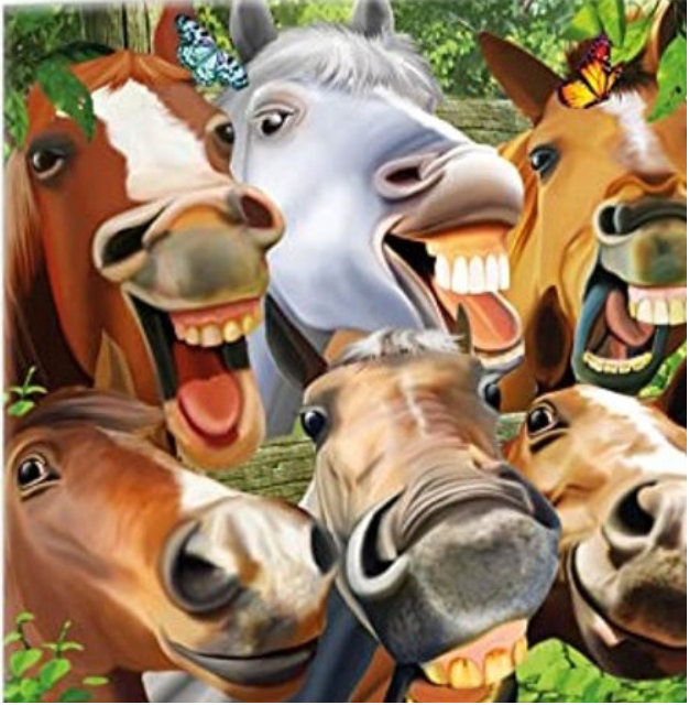 3D Greeting Card- Horsing Around