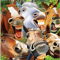 3D Greeting Card- Horsing Around