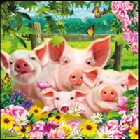 3D Greeting Card- Pig Pen