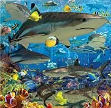 3D Greeting Card- Shark Reef