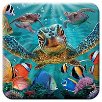 3D LiveLife Coaster- Tiny Bubbles