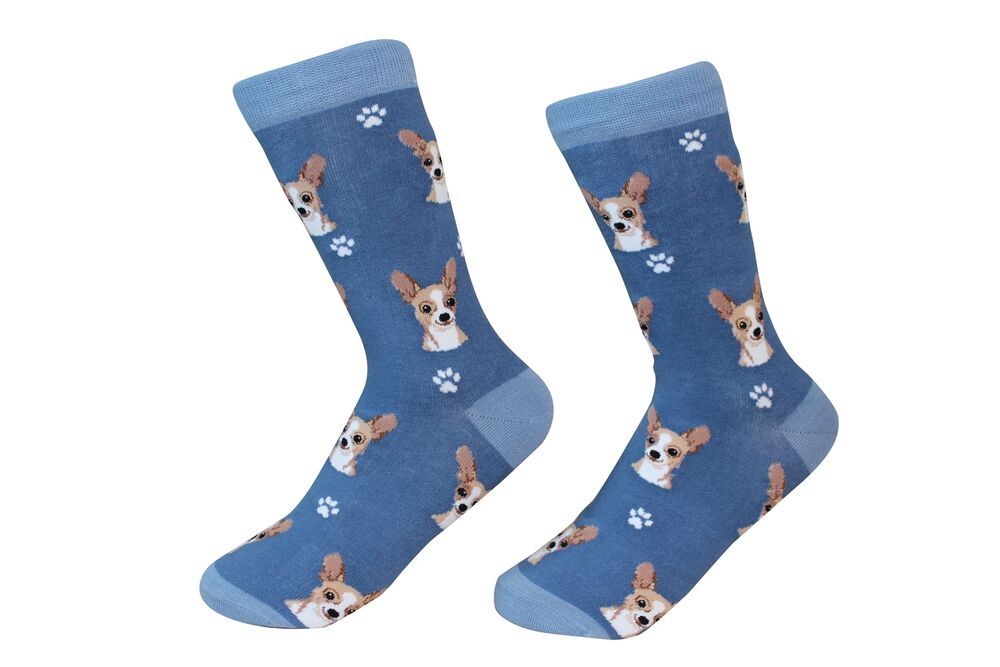 Chihuahua Fawn Sock
