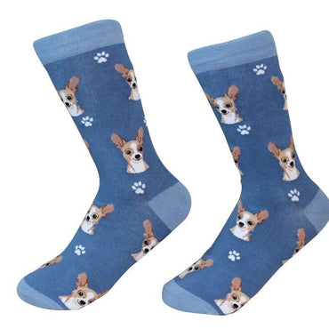 Chihuahua Fawn Sock