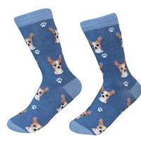 Chihuahua Fawn Sock