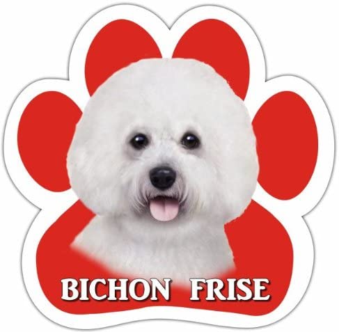 Bichon Frise Magnet