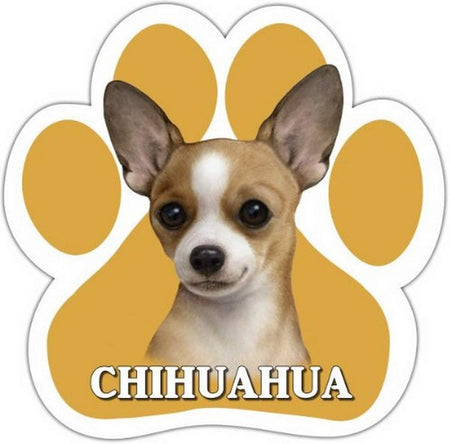 Chihuahua Tan