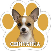Chihuahua Tan